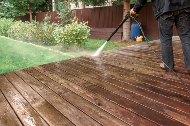 Animal Enclosure Cleaning in Kathleen, FL